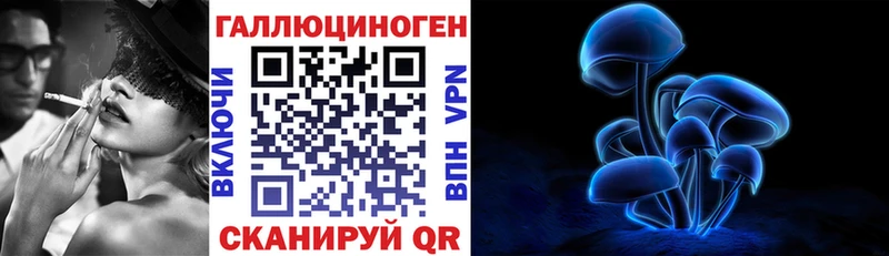 купить наркоту Обь omg маркетплейс Псилоцибиновые грибы Cubensis